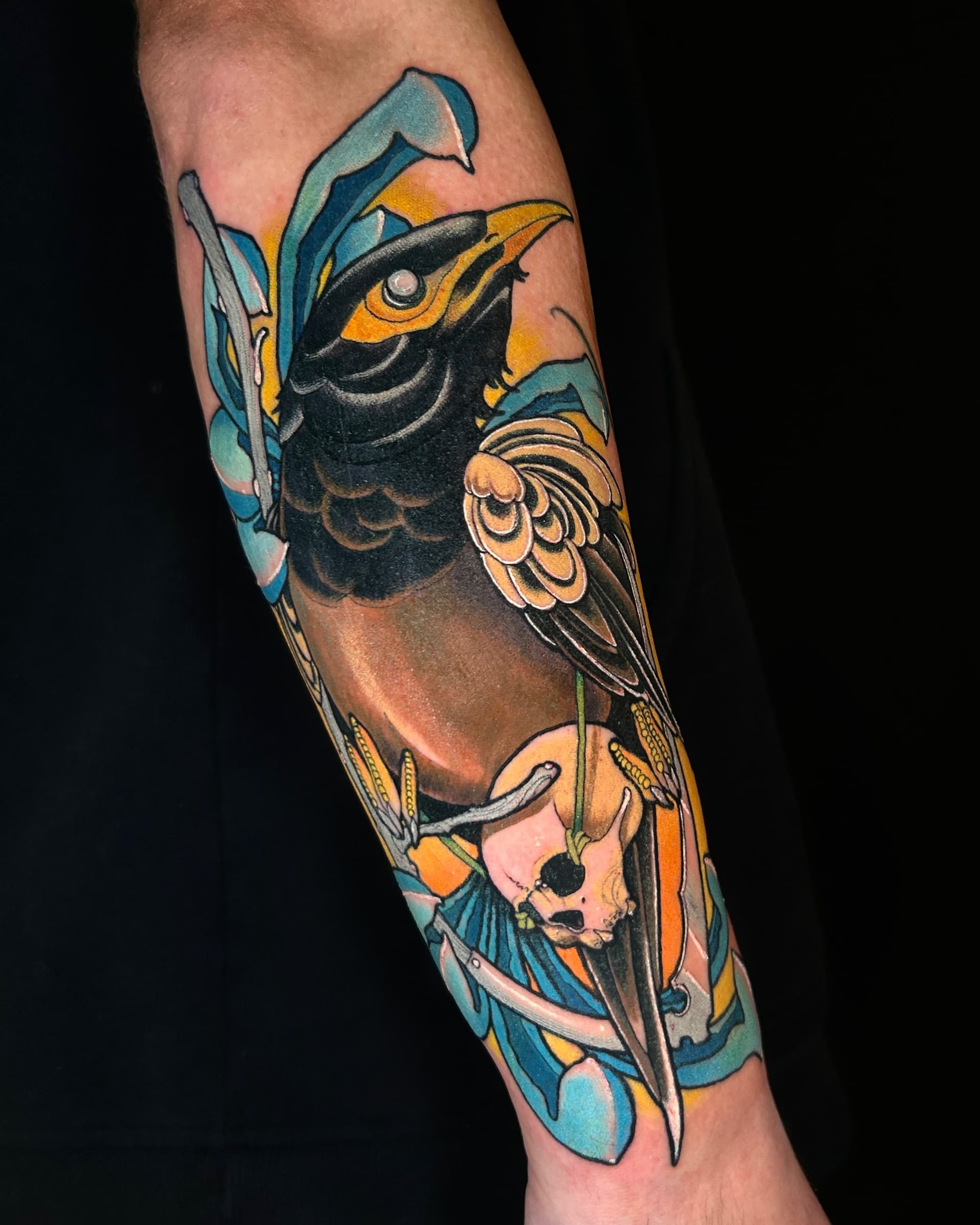 Neo traditional tattoo of a black bird with a skull and a blue chrysanthemum — bold illustrative color design